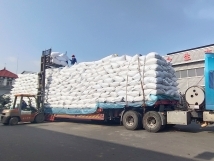 把握機(jī)遇、鉚足干勁、承勢而上